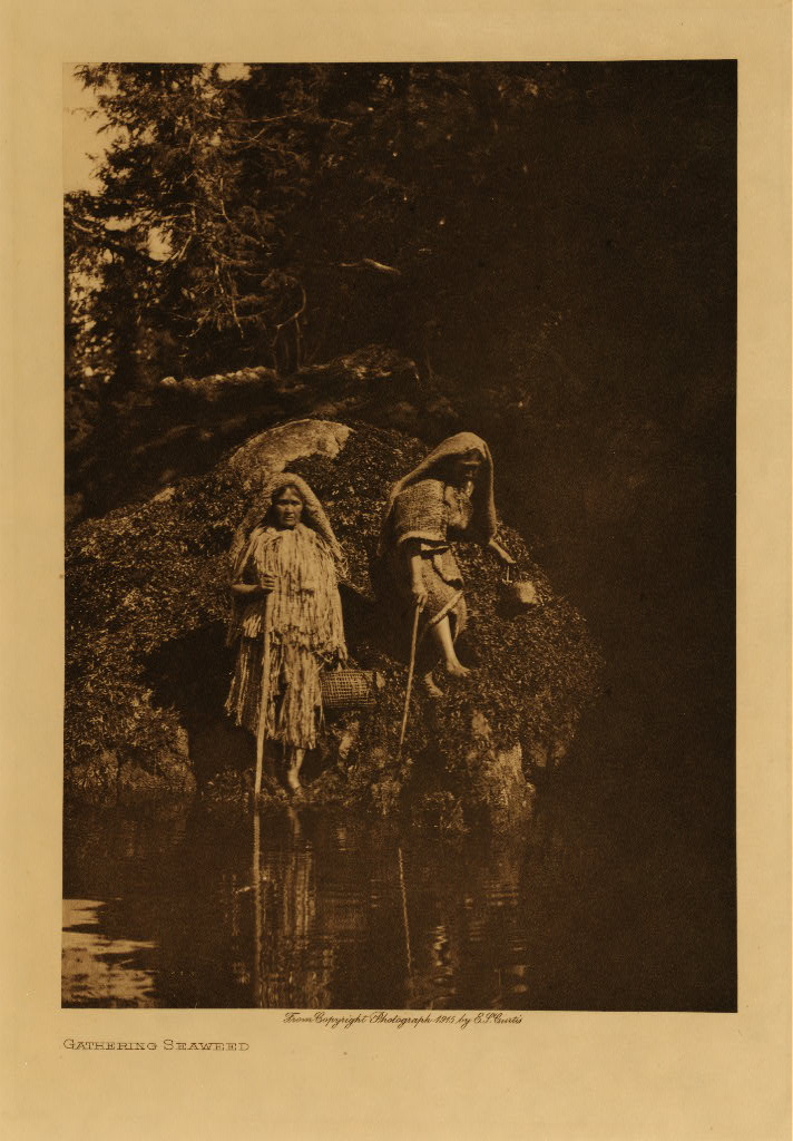ct11044v